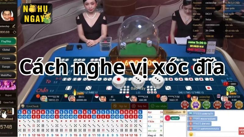 Lắng Nghe và Quan Sát Kỹ Các Âm Thanh Khi Xóc Đĩa