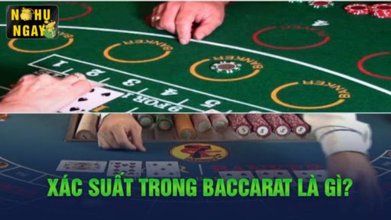 Xác minh hiệu suất trong Baccarat là gì?